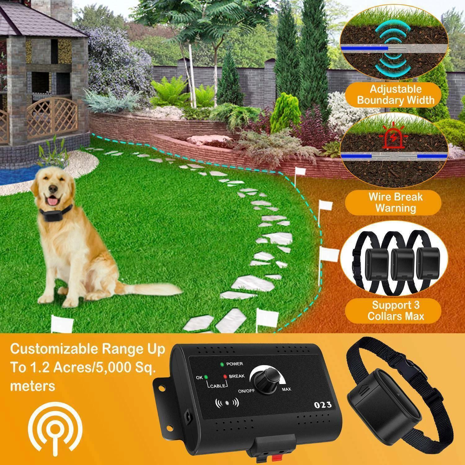 Collar in Yard